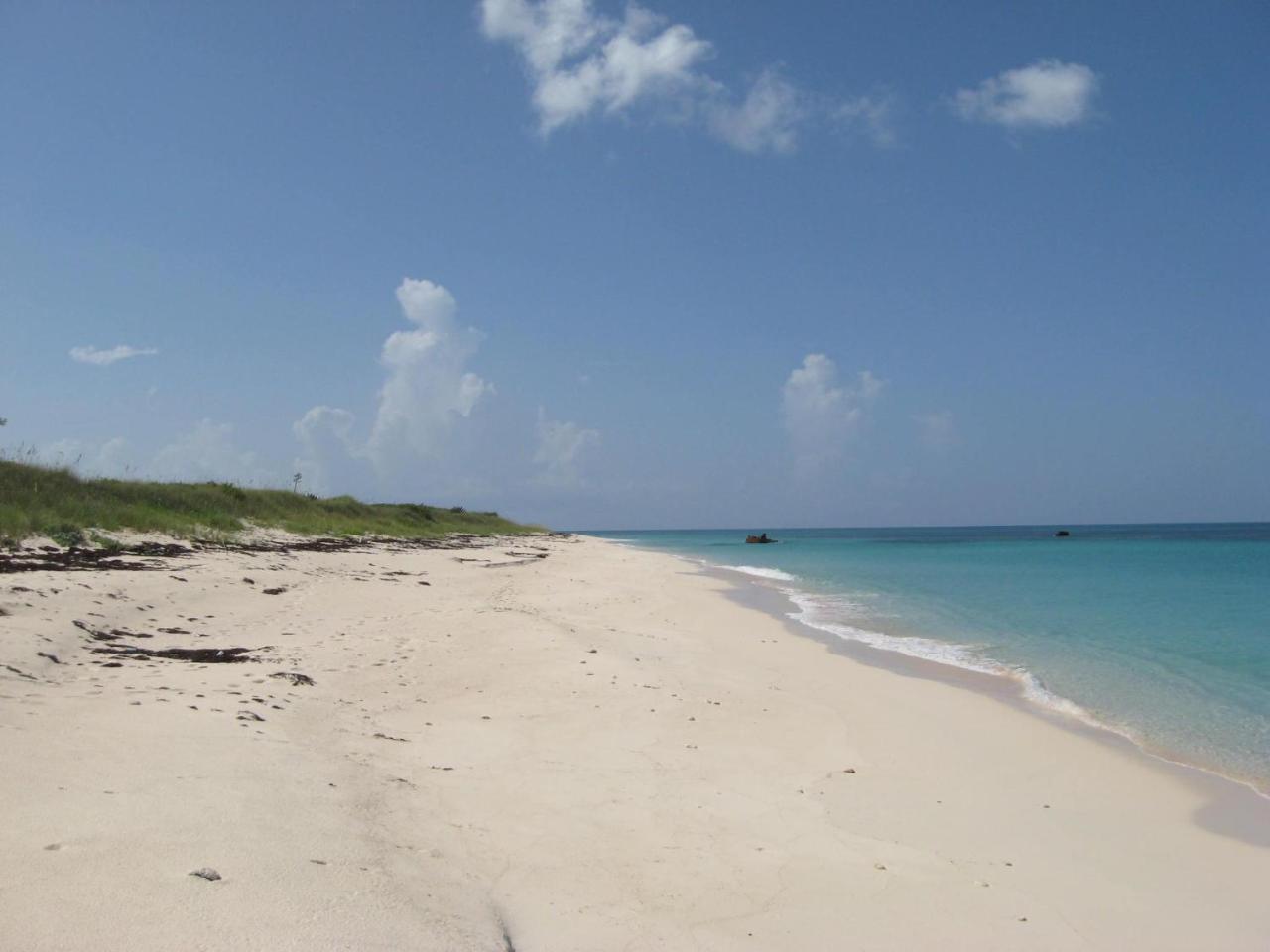 James Cistern Buttonwood Reserve 2A المظهر الخارجي الصورة