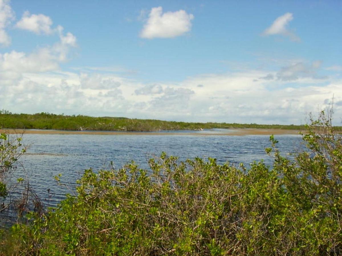 James Cistern Buttonwood Reserve 2A المظهر الخارجي الصورة