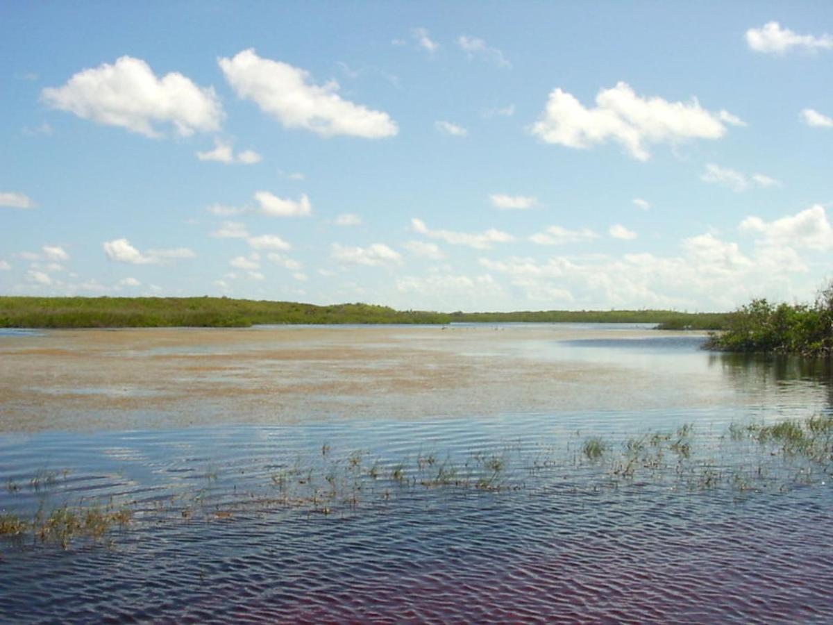 James Cistern Buttonwood Reserve 2A المظهر الخارجي الصورة